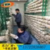蘑菇出菇架 发菌房网架 猴头菇出菇网格 平菇出菇网