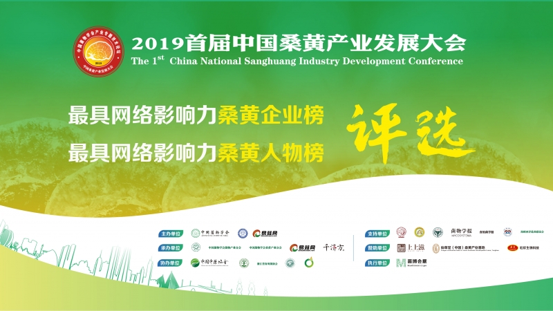 网络评选 背景图_画板 1