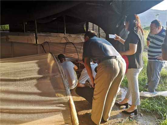 微信图片_20190815115216