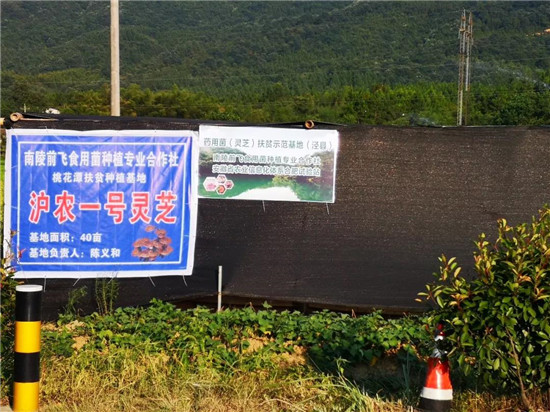 微信图片_20190815115227