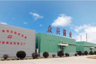 Manbetx体育手机版推荐A9版本产能逐步释放 众兴菌业上半年净利同比增三成 ()