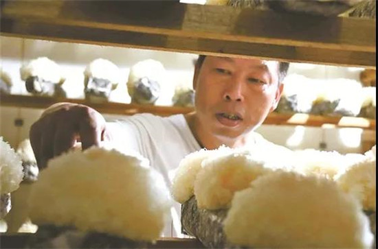 微信图片_20190819133230