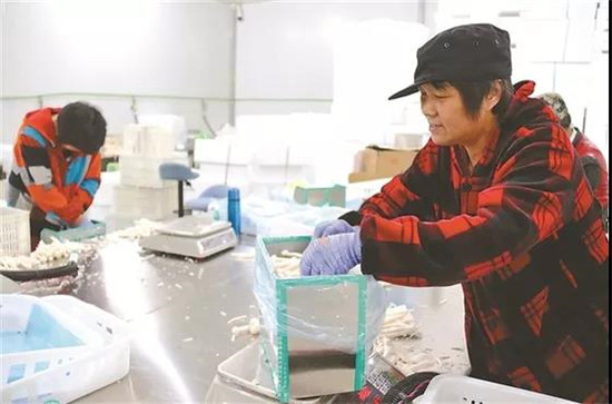 微信图片_20190819133236