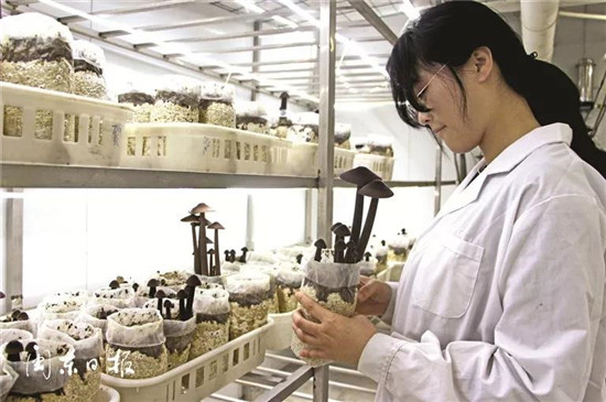 微信图片_20190819133241