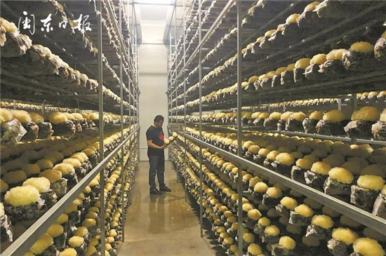 微信图片_20190819133253