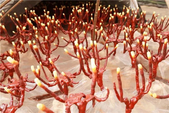 微信图片_20190819145649