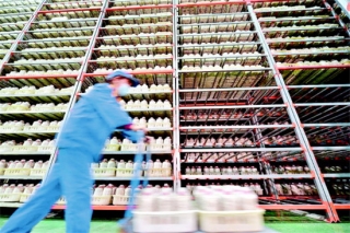 玉屏Manbetx体育手机版推荐A9版本年产值超两亿元 ()