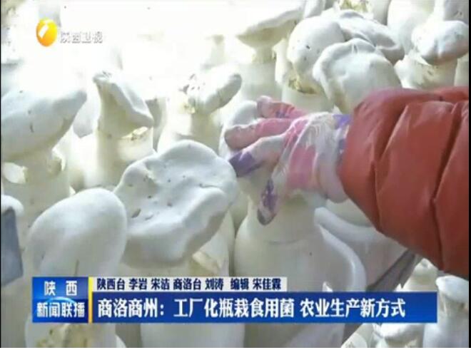 QQ截图20190821095647