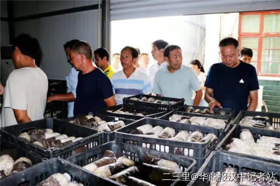 微信图片_20190821165252