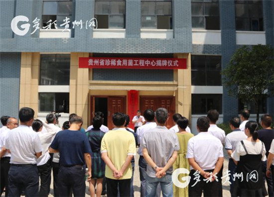 00303558328_5c2e5fec