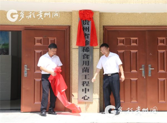 00303558330_ed8c52a2