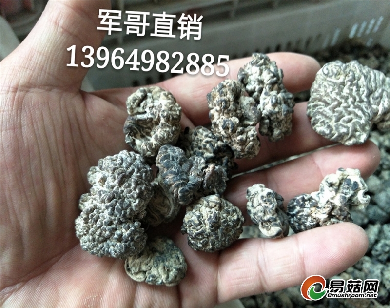 IMG20170614141128_mh1497481896140