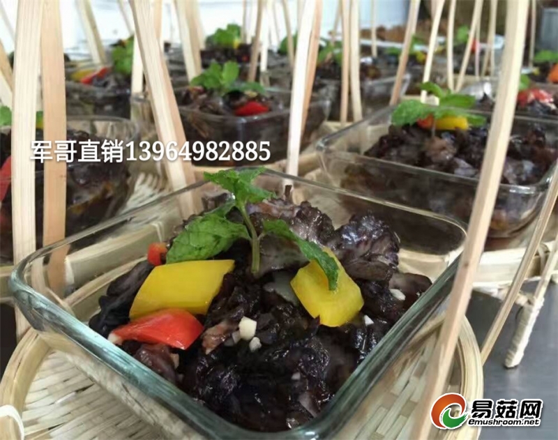 mmexport1486643589529_mh1486643737810