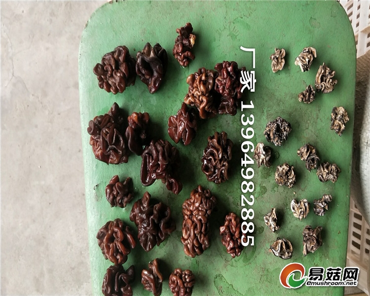 mmexport1554805952511_mh1554943473808