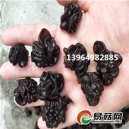 IMG20180927115354_副本