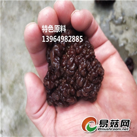 IMG20171019110204_副本