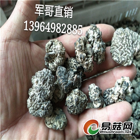 IMG20170614141128_mh1497481896140