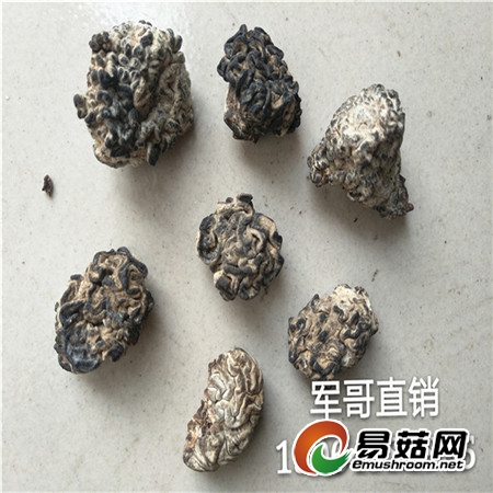 IMG20170613074416_mh1497482009372