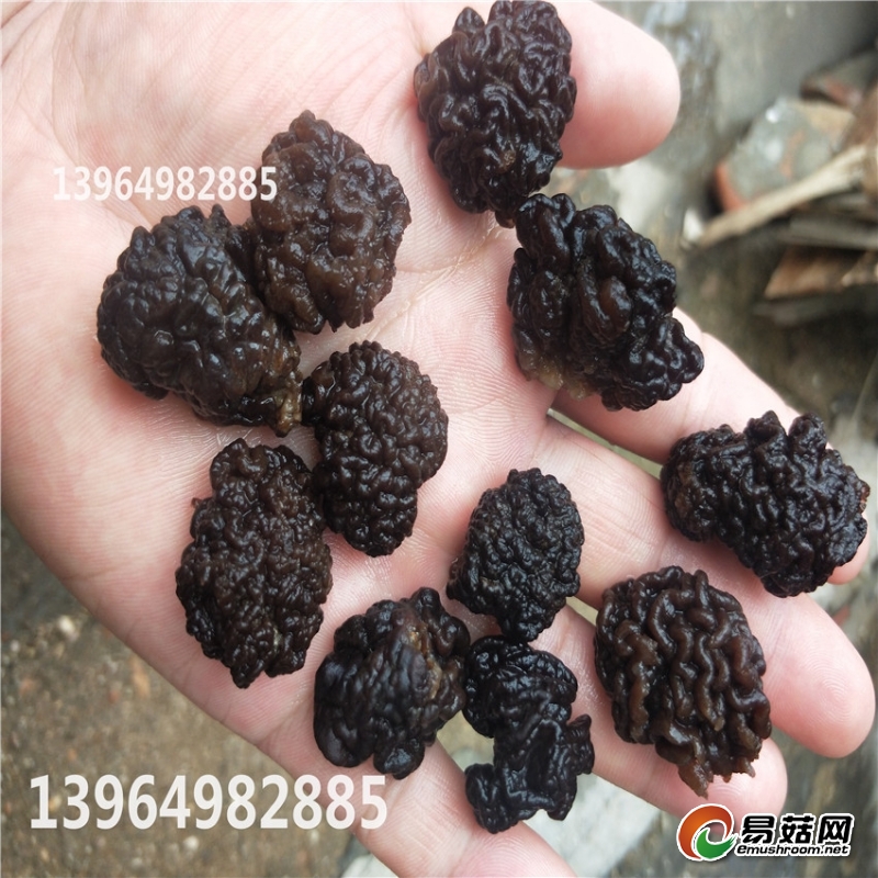 IMG20190802133746_副本