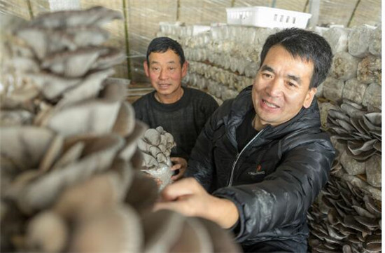 QQ截图20190824092127