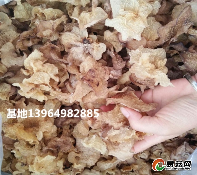 mmexport1506686620439_副本