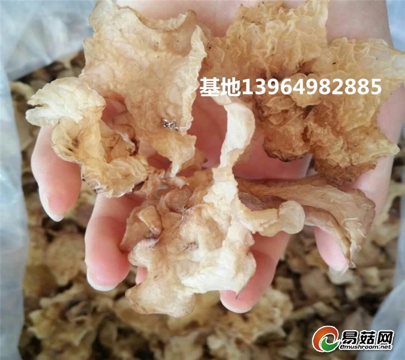 mmexport1506693351567_副本