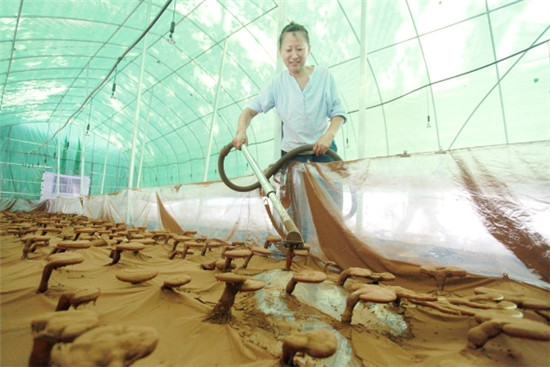 98590e1f-7848-4d04-989c-68c94ca5efd3_zsize