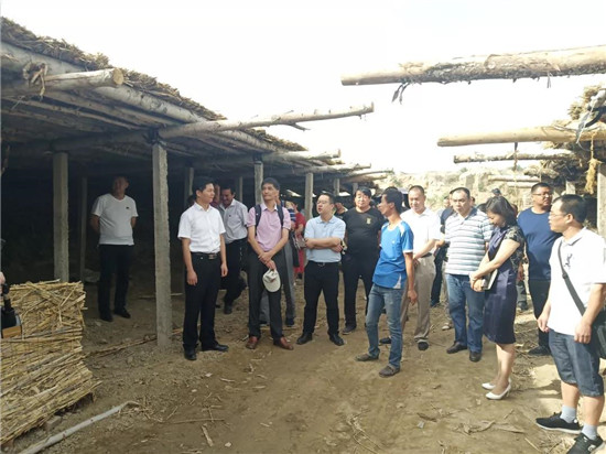 微信图片_20190827100543