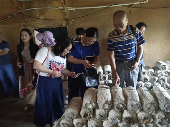 微信图片_20190827100652