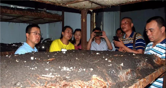 微信图片_20190827100657