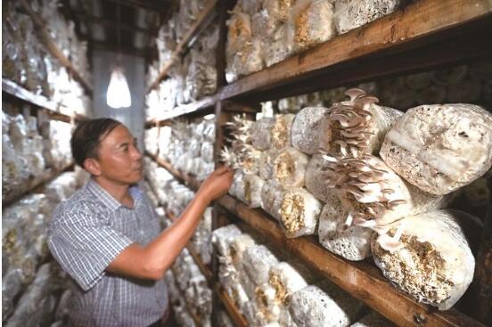 QQ截图20190827112453