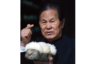 中草药栽培，银耳产业第五次技术突破获全面推广 ()