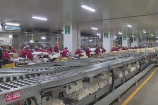 梅州8生产基地入围首批粤港澳大湾区“菜篮子”初审候选名单 ()