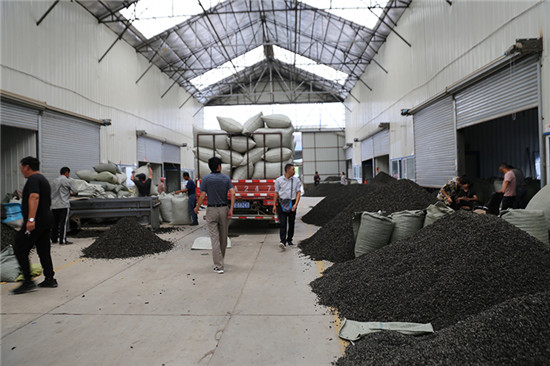 1124906229_15669212029381n