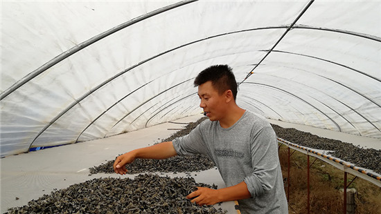 1124906229_15669212666161n