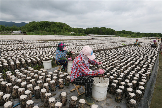 1124906229_15669214121491n