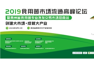 2019Manbetx体育手机版V17版本发布.官网安卓网.香港市场流通高峰论坛通知 ()