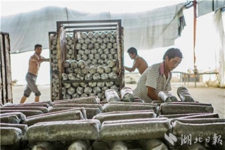 竹山县Manbetx体育手机版V17版本发布.官网安卓网.香港产业助农增收 ()