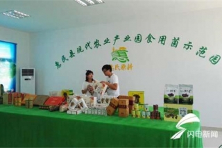 惠民现代农业产业园——不做传统菌菇大棚 而是多功能生态产业园 ()