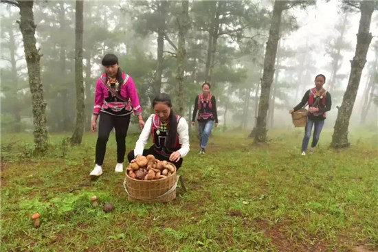 微信图片_20190902093900