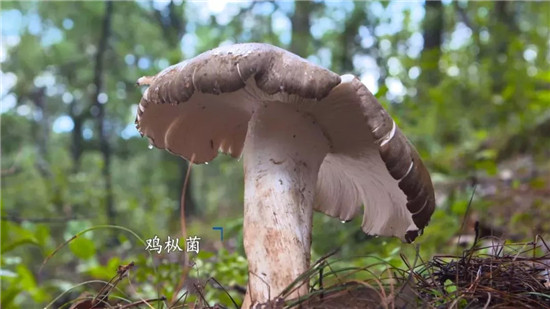 微信图片_20190902093908