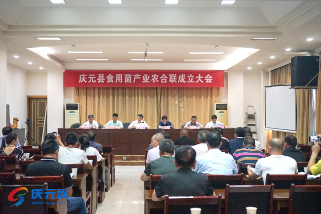 00300671345_6f8a423e