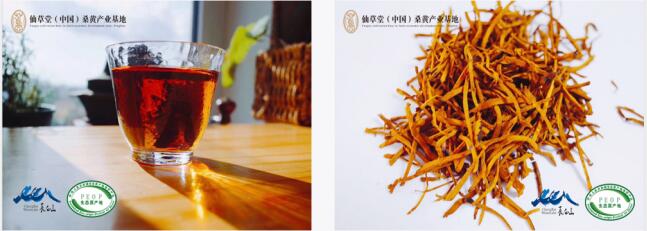 QQ截图20190902112210