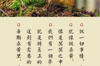 仙草堂将亮相2019首届中国桑黄产业发展大会 携手打造桑黄健康产业发展新模式 ()