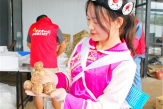 为新鲜松茸出滇插上“翅膀” ()