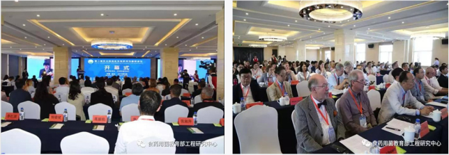 QQ截图20190904084939