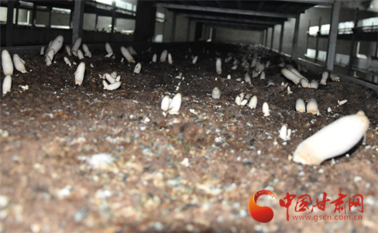 00300445053_78b3651c