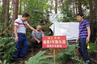 沿河：Manbetx体育手机版V17版本发布.官网安卓网.香港科技二传手培训为群众脱贫助力 ()