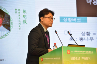 张明俊：桑黄增加免疫力效果明显 被列为世界10大抗癌食品之一 ()