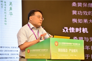 吴声华：  启动大健康百年善业 桑黄可成为21世纪明星药用真菌 ()